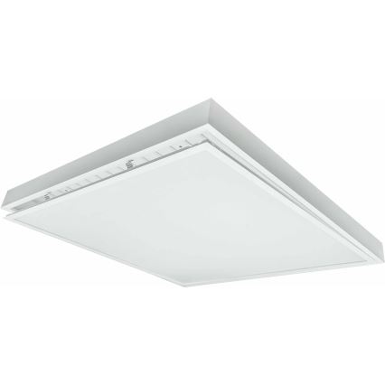 LED Панел за повърхностен монтаж ILLY LED/36W/230V