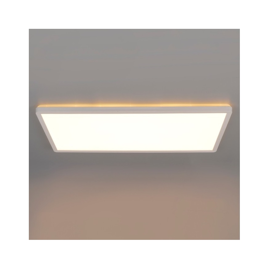 LED Панел за повърхностен монтаж NIVERA LED/32W/230V IP54 3000/4000/6000K 29,5x59,5 см бял