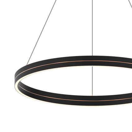 LED Пендел GRAVITY LED/36W/230V черен