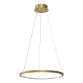 LED Пендел HOOP LED/27W/230V Ø 50 см 4000K златист