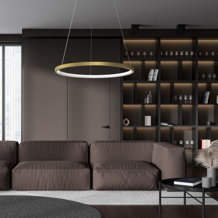 LED Пендел HOOP LED/27W/230V Ø 50 см 4000K златист