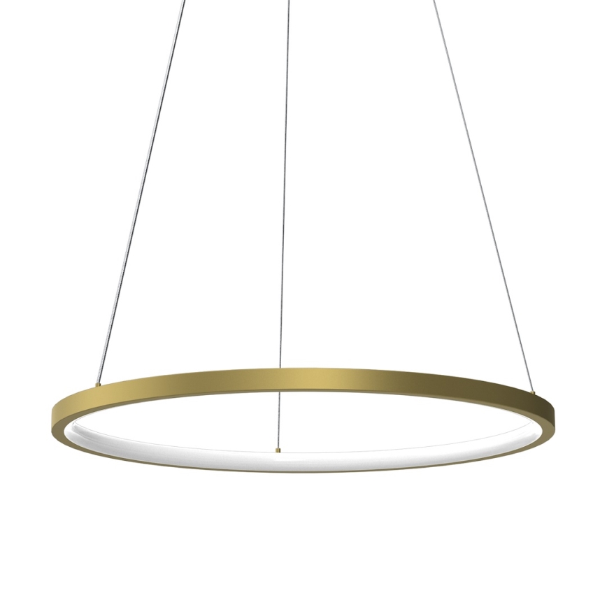 LED Пендел HOOP LED/27W/230V Ø 50 см 4000K златист