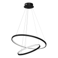 LED Пендел HOOP LED/51W/230V Ø 60 см 4000K черен