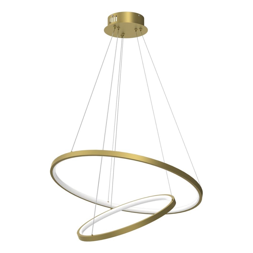 LED Пендел HOOP LED/51W/230V Ø 60 см 4000K златист