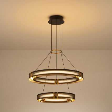 LED Пендел LED/62W/230V 3000K 62x120 см