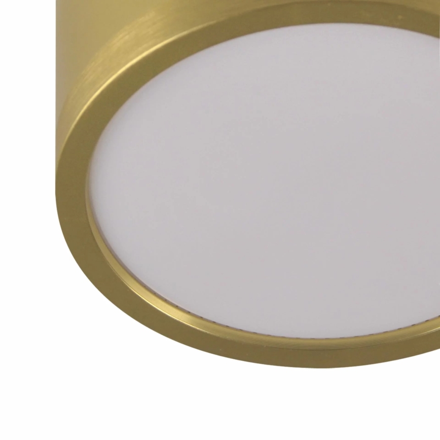 LED Пендел MIRELLA 3xGX53/6W/230V златист/черен