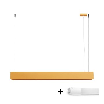 LED Пендел SPARK 1xG13/8,5W/230V златист