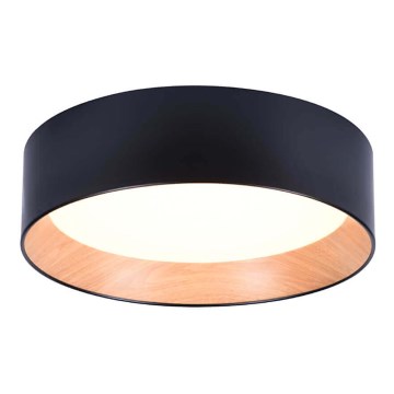 LED Плафон ARENA LED/43W/230V