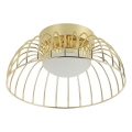LED плафон BETSY LED/12W/230V Ø 25 см златист