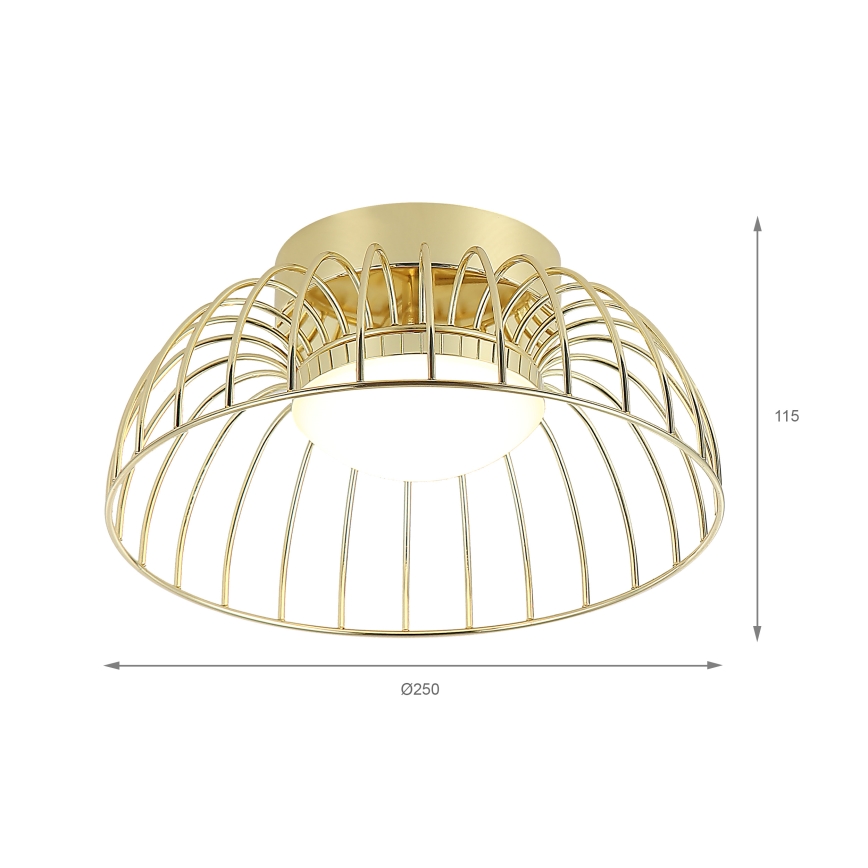 LED плафон BETSY LED/12W/230V Ø 25 см златист