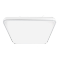 LED Плафон FABIO LED/23W/230V бял