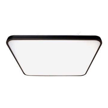 LED Плафон FABIO LED/35W/230V черен