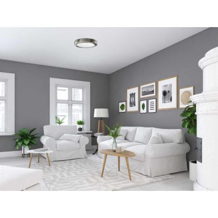 LED Плафон FENIX LED/12W/230V 3800K Ø 17 см