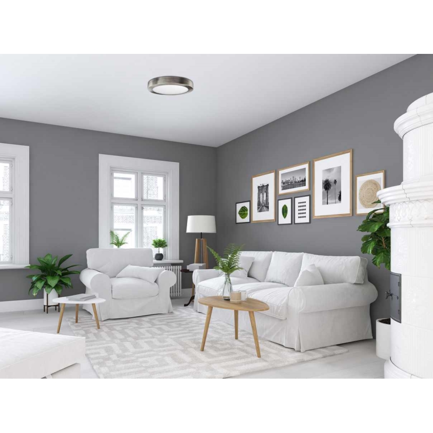 LED Плафон FENIX LED/12W/230V 3800K Ø 17 см