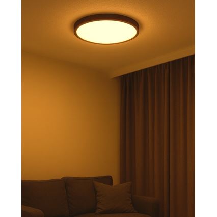 LED плафон LED/40W/230V 3000/4000/6500K Ø 50 см кафяв