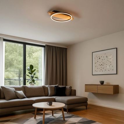 LED плафон MELISA LED/12W/230V 30x40 см в цвят бор