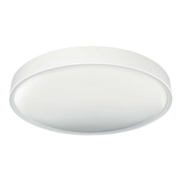 LED Плафон SAMER LED/24W/230V 4000K
