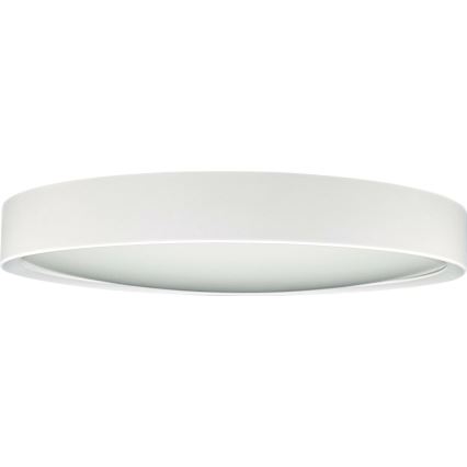 LED Плафон SAMER LED/24W/230V 4000K