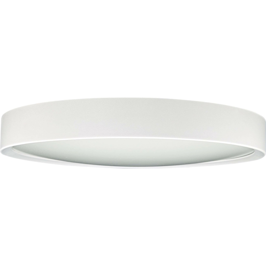 LED Плафон SAMER LED/24W/230V 4000K