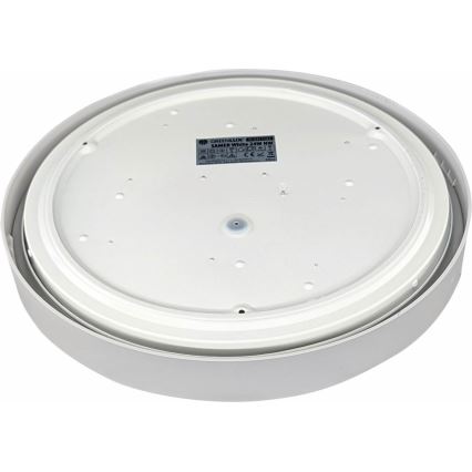 LED Плафон SAMER LED/24W/230V 4000K