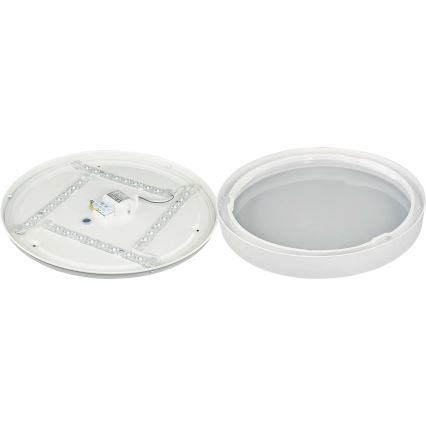 LED Плафон SAMER LED/24W/230V 4000K