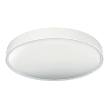 LED Плафон SAMER LED/32W/230V 4000K