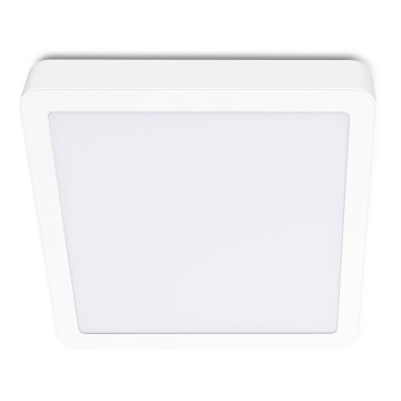 LED Плафон SIGARO SQUARE LED/18W/230V 4000K IP40