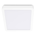 LED Плафон SIGARO SQUARE LED/24W/230V 4000K IP40