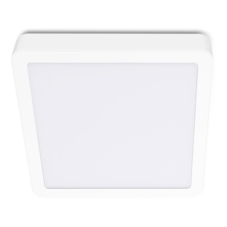 LED Плафон SIGARO SQUARE LED/24W/230V 4000K IP40