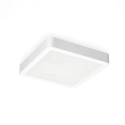 LED Плафон SIGARO SQUARE LED/24W/230V 4000K IP40