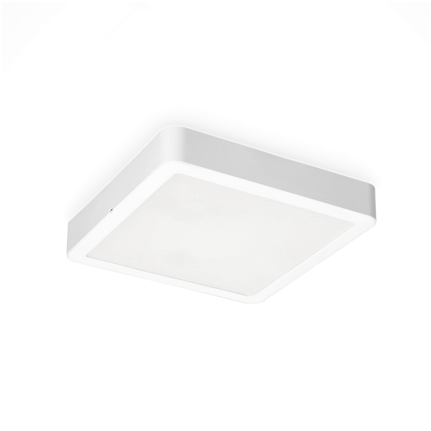 LED Плафон SIGARO SQUARE LED/24W/230V 4000K IP40