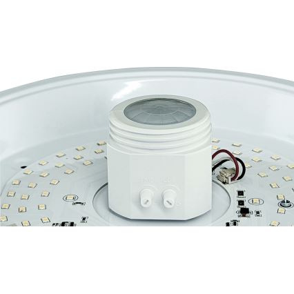 LED Плафон със сензор и авариен модул MANA LED/12W/230V 1500 mAh 4000K