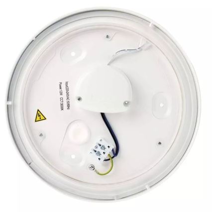 LED Плафон за баня LED/12W/230V IP44