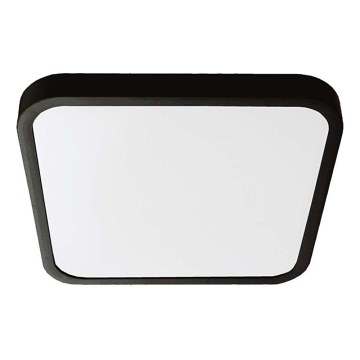 LED Плафон за баня LED/18W/230V 6500K IP44 25x25 см черен