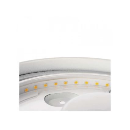 LED Плафон за баня LED/18W/230V IP44