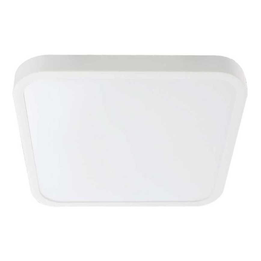 LED Плафон за баня LED/24W/230V 4000K IP44 бял