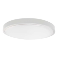 LED Плафон за баня LED/24W/230V 6500K IP44 бял