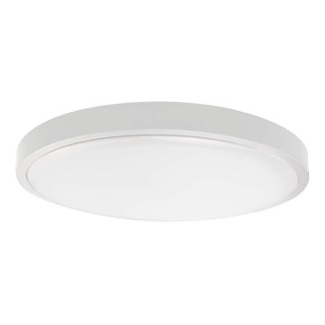 LED Плафон за баня LED/24W/230V 6500K IP44 бял