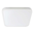 LED Плафон за баня LED/24W/230V 6500K IP44 бял