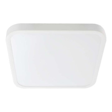 LED Плафон за баня LED/24W/230V 6500K IP44 бял