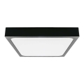 LED Плафон за баня LED/24W/230V 6500K IP44 черен
