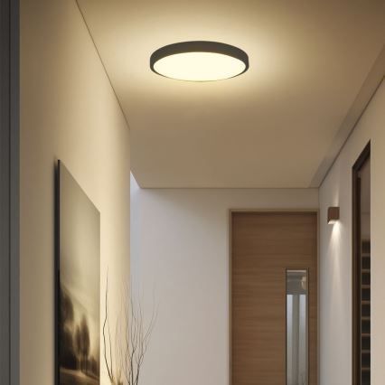 LED Плафон за баня SAMSUNG CHIP LED/24W/230V IP44 6500K Ø 29 см черен
