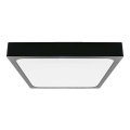 LED Плафон за баня LED/30W/230V 3000K IP44 черен