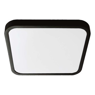 LED Плафон за баня LED/48W/230V 6500K IP44 42x42 см черен