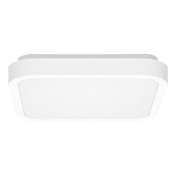 LED Плафон за баня LUKY LED/12W/230V 4000K 25x25 cm IP44 бял