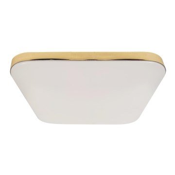LED Плафон за баня NEMO LED/17W/230V IP44 златист