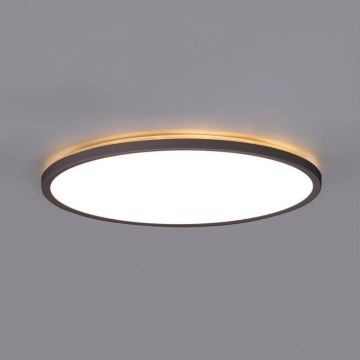 LED Плафон за баня NIVERA LED/12W/230V IP54 3000/4000/6000K Ø 22,5 см черен