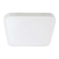 LED Плафон за баня SAMSUNG CHIP LED/24W/230V IP44 4000K 29x29 см бял