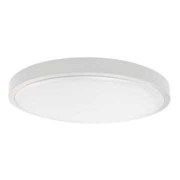 LED Плафон за баня SAMSUNG CHIP LED/24W/230V IP44 4000K Ø 29 см бял