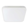 LED Плафон за баня SAMSUNG CHIP LED/24W/230V IP44 6500K 29x29 см бял